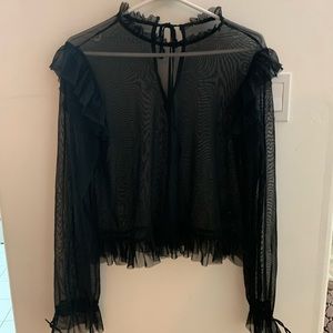 Shear long sleeve blouse